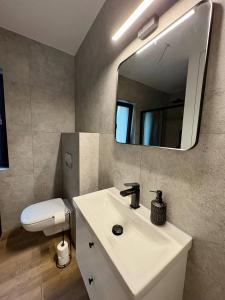 a bathroom with a white sink and a mirror at Przystanek Nowa Ruda in Ślesin +29 photos