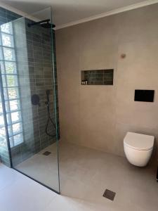 ein Badezimmer mit Toilette und Glasdusche in der Unterkunft springs suites no2 in Kato Alepochori + 9 Fotos