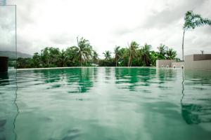 a swimming pool with green water and palm trees at Skyluxe Hotel in Odiongan