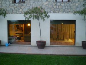 a palm tree in a pot next to a building at Casa Valfonda in Torres de Barbués