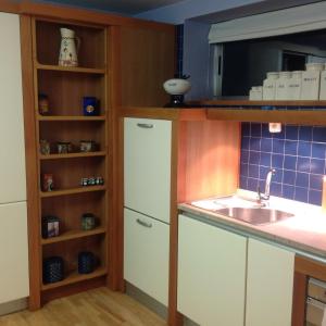 a kitchen with a sink and a refrigerator at Casa Valfonda in Torres de Barbués