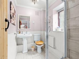 a bathroom with a toilet and a sink and a shower at The Coach House- Uk45660 in Bishops Castle +1 photo