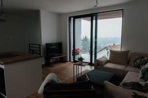 un salon avec un canapé et une grande fenêtre dans l'établissement Pop Hill Residence & SPA, à Sremska Kamenica