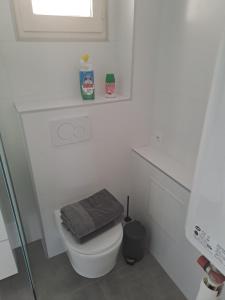 Kúpeľňa v ubytovaní Résidence Odalys Saint Loup Appartement Climatisé entierement rénové