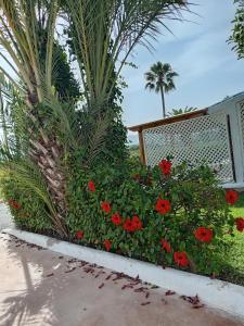 Giardino di Belle vue