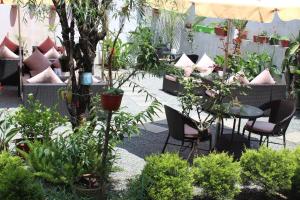 Zahrada ubytování PS Boutique Hotel