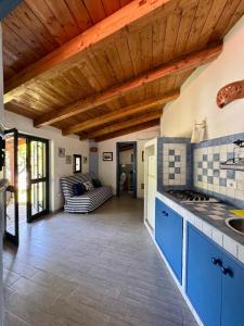 Η κουζίνα ή μικρή κουζίνα στο Villa Giulia +50 φωτογραφίες
