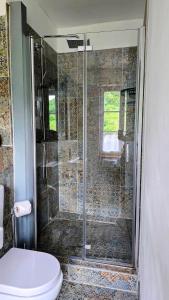 a bathroom with a glass shower with a toilet at Ferienwohnungen Otus in Winningen