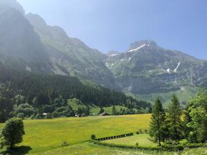 a green field with mountains in the background at Independent studio in a chalet in Mont-Saxonnex