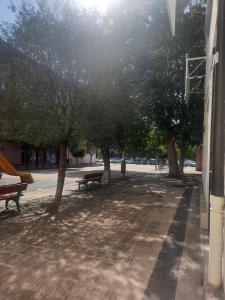 a park with benches and trees on a street at Josemaenea 2 in Pamplona