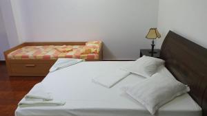 Gallery image of Vila Camelia in Văleni