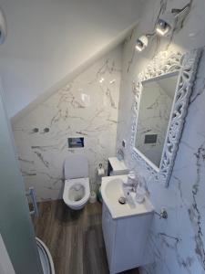 a bathroom with a toilet and a sink and a mirror at Apartamenty i pokoje Sosnowa 4 Dębki in Dębki +109 photos