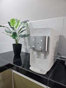 Una cafetera sobre un mostrador con una planta en maceta. en Nur's Homestay 2, en Kuantan