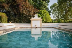 a dog is sitting in the water in a swimming pool at Quinta do Bonfim in Portalegre
