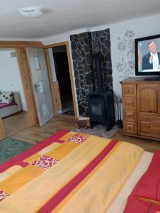 TV a/nebo společenská místnost v ubytování Apartmán 139