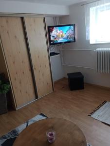 TV a/nebo společenská místnost v ubytování Apartmán 139