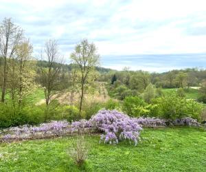 Fotografie z fotogalerie ubytování B&B Cascina Dei Levrieri v destinaci Capriglio + 38 fotografií