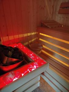 a room with a sauna with a toilet in it at Hotel Polaris in Świnoujście