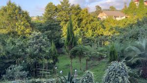 a garden with palm trees and a house in the background at SV Hotel Batumi in Makhinjauri