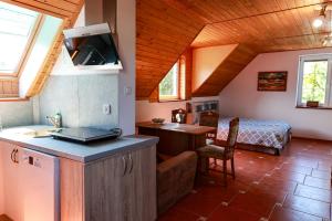 a room with a kitchen and a bedroom with a bed at PSZCZÓŁKA in Białogóra