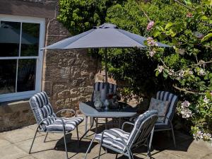 En have udenfor Wonderland