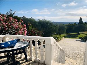 a balcony with a table and a white railing at Villa Karolina Großes Ferienhaus Meerblick 2000qm Garten Familien Gruppen Insel Lošinj in Nerezine +115 photos