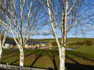 Fotografie z fotogalerie ubytování Cedar Lodge - Uk30008 v destinaci Lindal in Furness