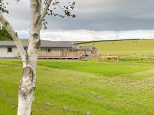 Fotografie z fotogalerie ubytování Cedar Lodge - Uk30008 v destinaci Lindal in Furness