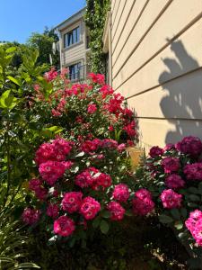 a bunch of pink flowers on the side of a house at SV Hotel Batumi in Makhinjauri