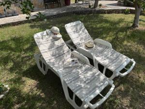 Ein Garten an der Unterkunft Apartments & Rooms Neno