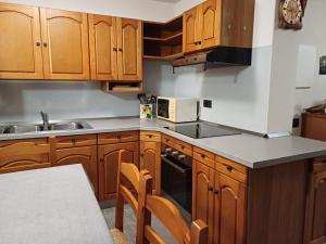 a kitchen with wooden cabinets and a sink and a microwave at Casa di Canete in Villa di Chiavenna +13 photos