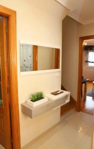 a room with a mirror and plants on the wall at Arel Dúplex in Lugo