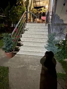 Foto sihtkohas Martvili asuva majutusasutuse Guest house Nano galeriist