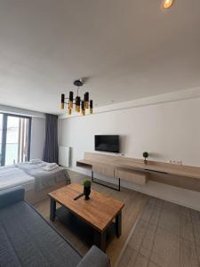 TV a/nebo společenská místnost v ubytování Go-Gudauri The Atrium Residence