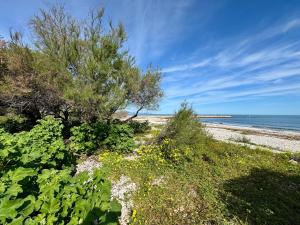 Billede fra billedgalleriet på Vacation Apartment i Els Poblets + 23 billeder