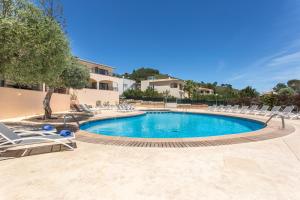 a swimming pool with lounge chairs and a tree at Mar Hotels Alcanada in Port d'Alcudia