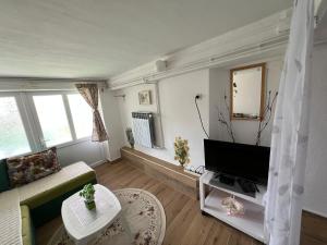 Μια τηλεόραση ή/και κέντρο ψυχαγωγίας στο Apartments Obradović Milan