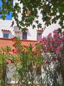 Un edificio blanco con flores rosas delante. en Appartamento IRIS, en Lido delle Nazioni