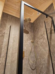 a shower in a bathroom with a glass door at Tiny House De Houtekster in Westergeest