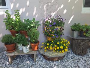 Gallery image of Hiša odprtih vrat in Tolmin