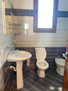 a bathroom with a toilet and a sink at Seid Apartments Radhime in Vlorë +16 photos