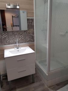 un bagno con lavandino e doccia di Studio Beauséjour a Niort Altre 9 foto