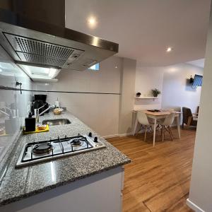 una cucina con fornelli e piano di lavoro di Syrah Suites a Buenos Aires
