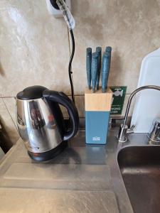 a cup of knives sitting on a counter next to a sink at Aparts Valentyna El Chalten 2 in El Chalten