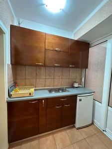 Η κουζίνα ή μικρή κουζίνα στο APARTMENT 02Villa KRIVOKAPIC