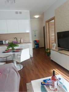 Μια τηλεόραση ή/και κέντρο ψυχαγωγίας στο Apartament Arbuzowy Zachód Słońca