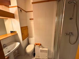 a bathroom with a shower and a toilet and a sink at Duplex classique 6 pers à 50m du télécabine, 2 chambres - FR-1-452-139 in Saint-Martin-de-Belleville