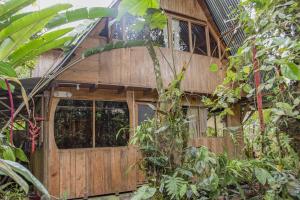 Zahrada ubytování Cabañas Armonía y Jardín de Orquídeas