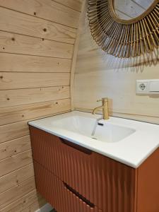 un baño con lavabo y espejo en Tiny House De Bosksjonger, en Westergeest 23 fotos más