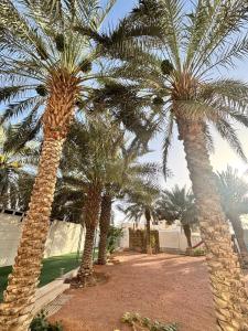 En have udenfor A big house -Isteraha-